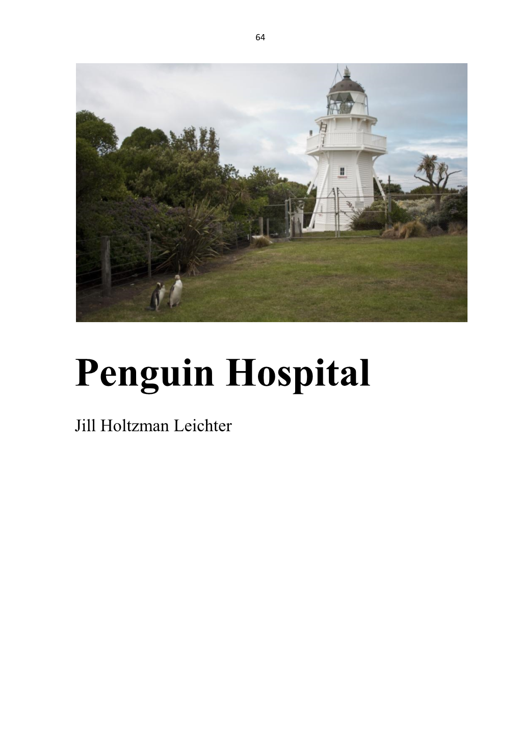 Penguin Hospital