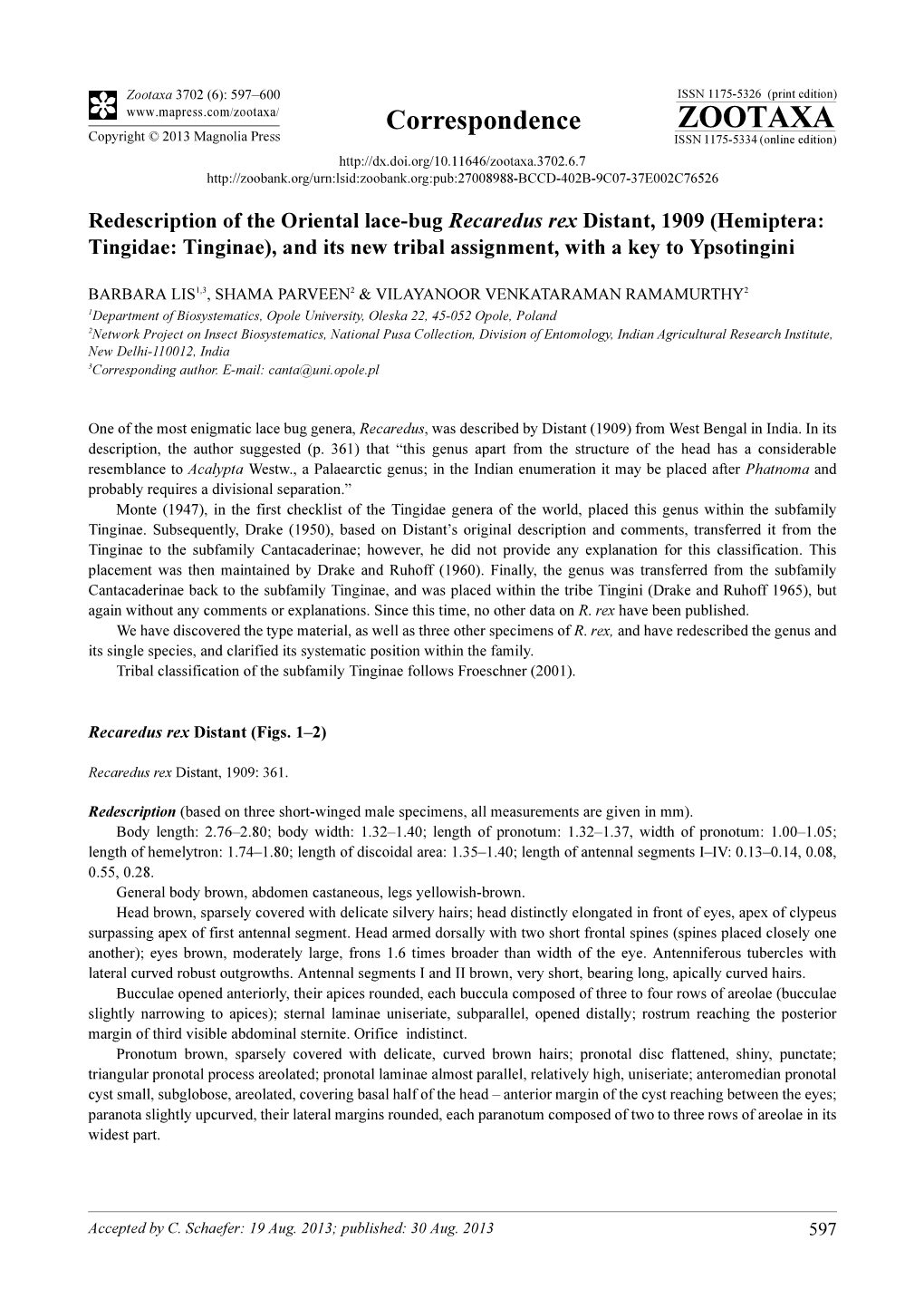 Redescription of the Oriental Lace-Bug Recaredus Rex Distant, 1909 (Hemiptera: Tingidae: Tinginae), and Its New Tribal Assignment, with a Key to Ypsotingini