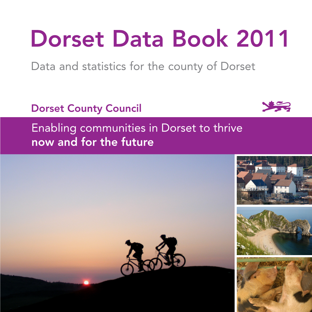 Dorset Data Book 2011 Data and Statistics for the County of Dorset