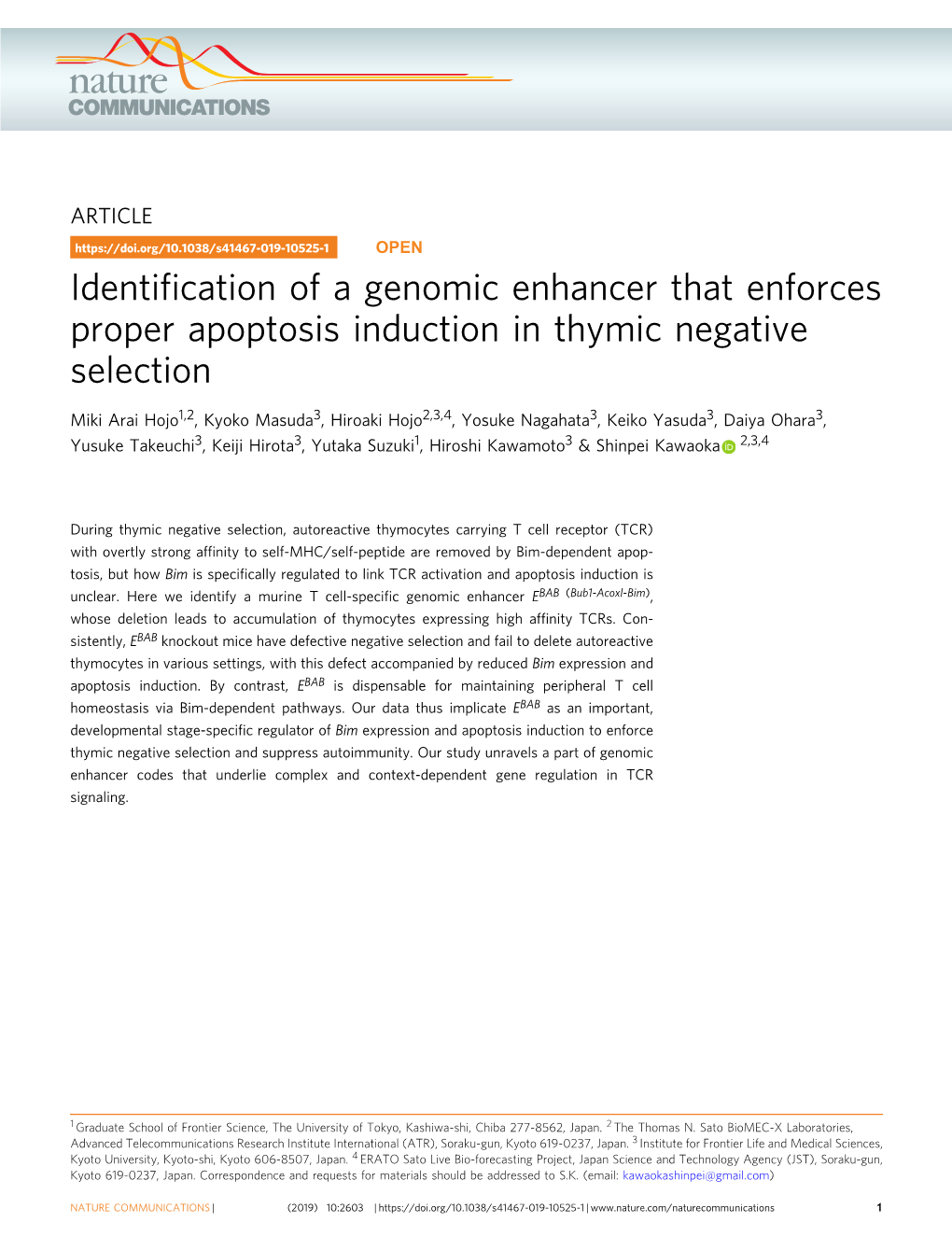 Identification of a Genomic Enhancer That Enforces Proper Apoptosis