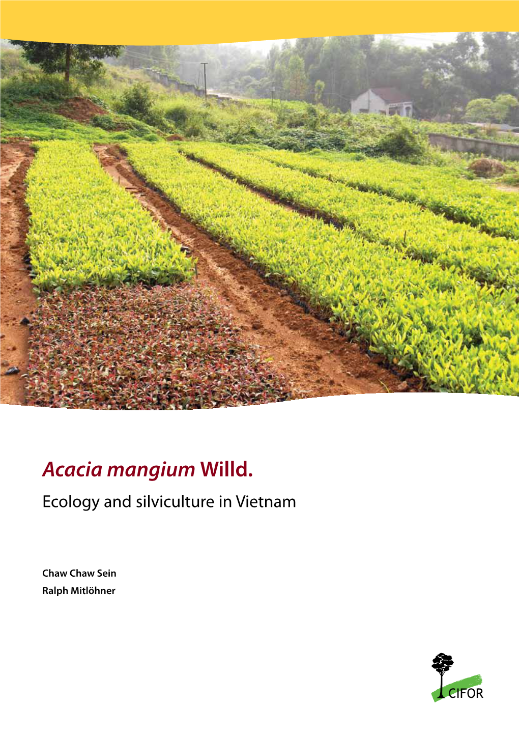 Acacia Mangium Willd. Ecology and Silviculture in Vietnam