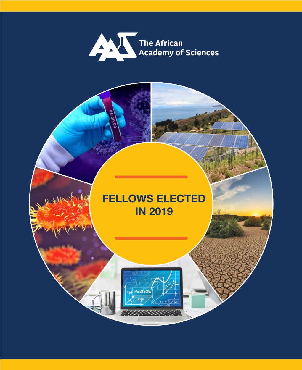 Fellows Elected in 2019