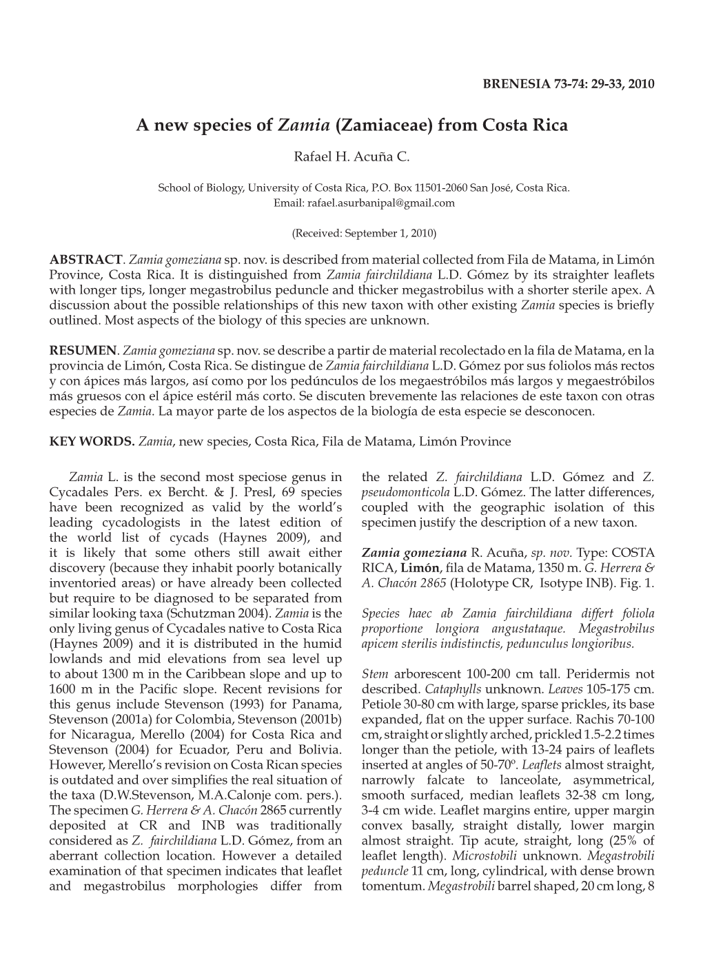 A New Species of Zamia (Zamiaceae) from Costa Rica