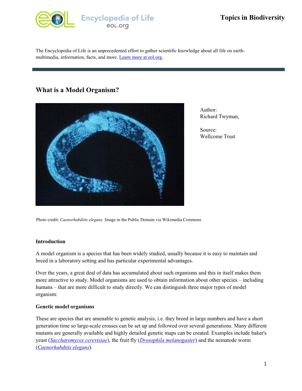 What Is a Model Organism? Topics in Biodiversity