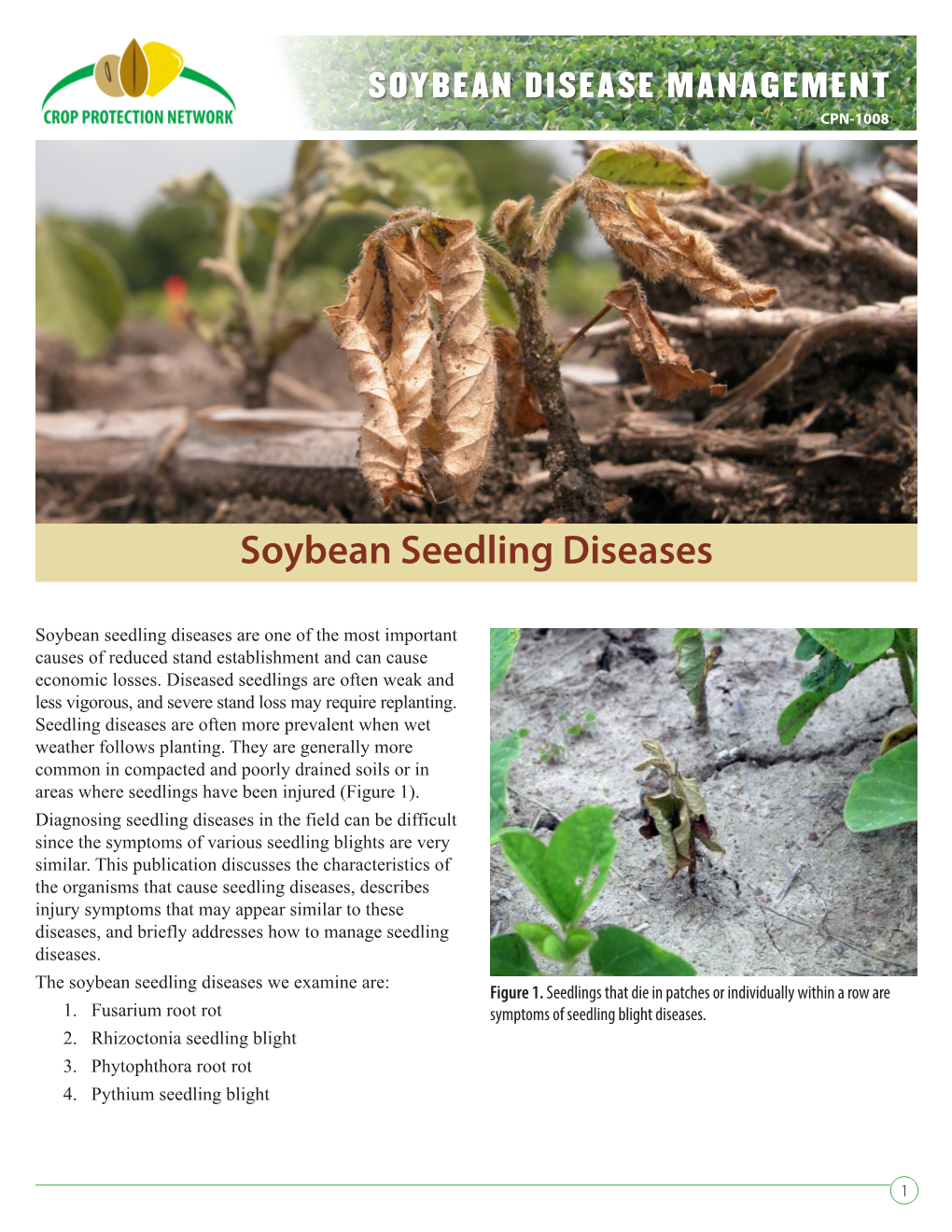 Soybean Seedling Disease Management