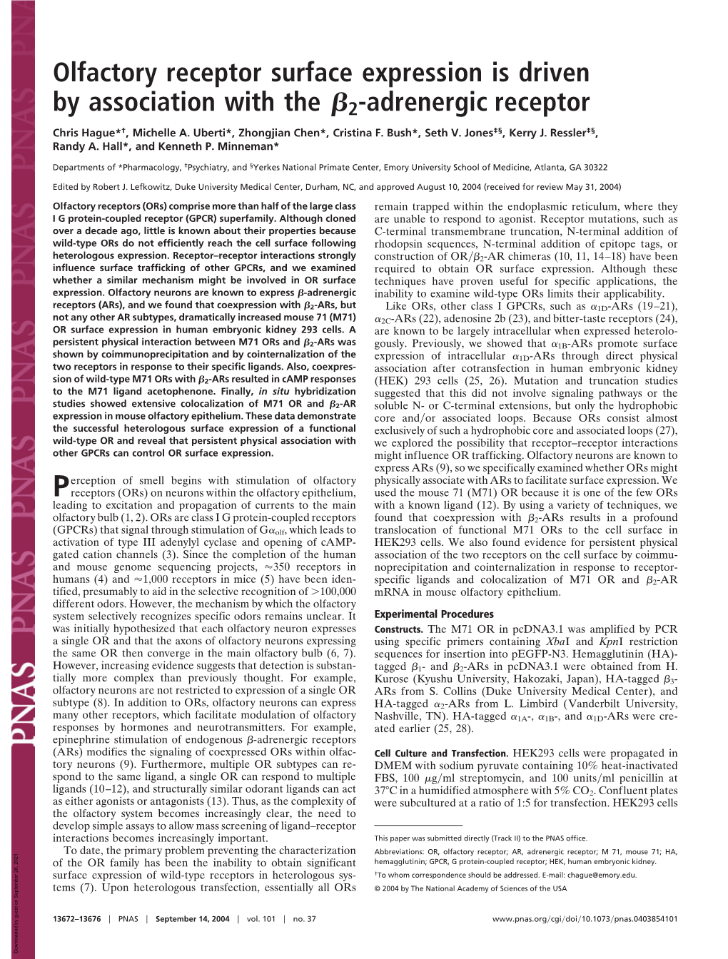 Olfactory Receptor Surface Expression Is Driven by Association with the ß2