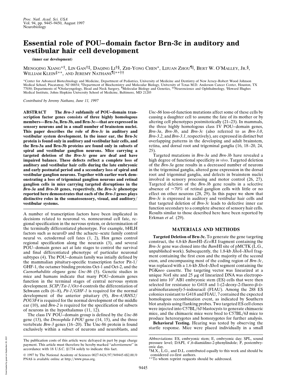 Essential Role of POU–Domain Factor Brn-3C in Auditory and Vestibular Hair Cell Development (Inner Ear Development)