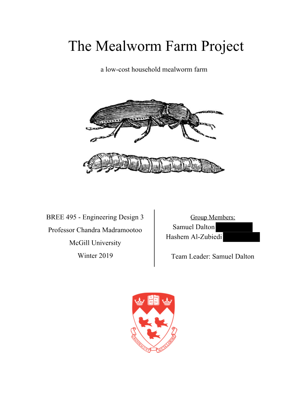 The Mealworm Farm Project