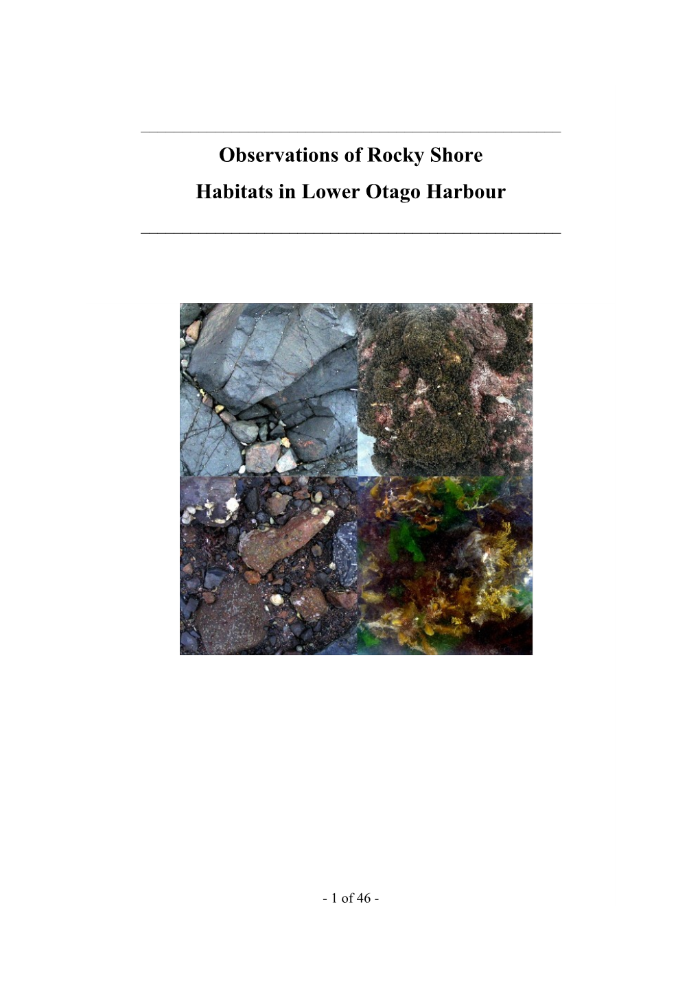 Observations of Rocky Shore Habitats in Lower Otago Harbour ______