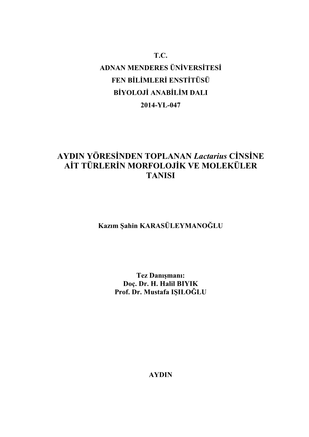 Kazım Şahin KARASÜLEYMANOĞLU Tez Danışmanı: Doç. Dr. H. Halil