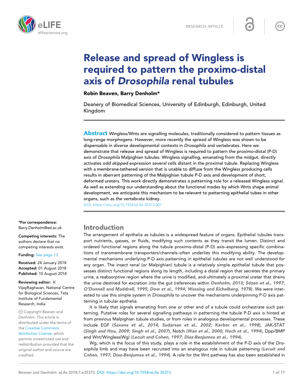 Release and Spread of Wingless Is Required to Pattern the Proximo-Distal Axis of Drosophila Renal Tubules Robin Beaven, Barry Denholm*