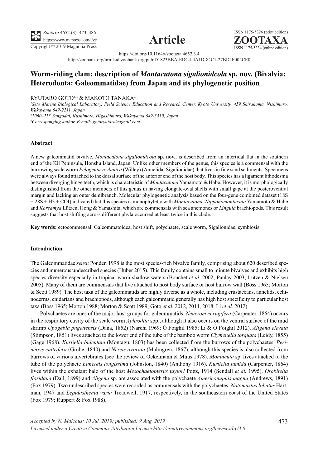 Worm-Riding Clam: Description of Montacutona Sigalionidcola Sp. Nov. (Bivalvia: Heterodonta: Galeommatidae) from Japan and Its Phylogenetic Position