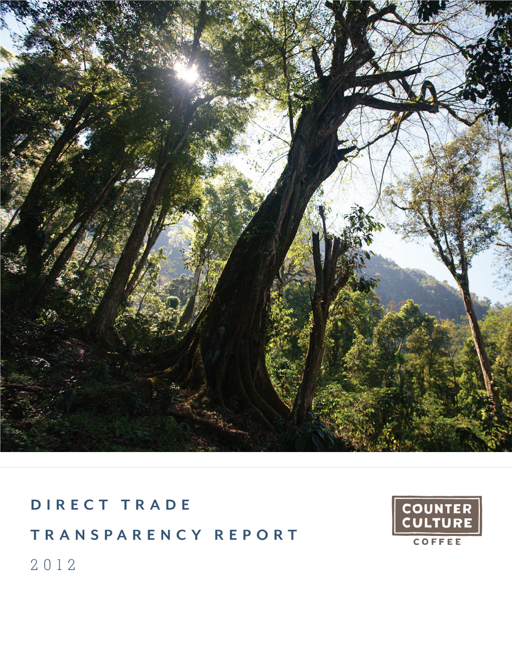 Direct Trade Transparency Report 2012 Finca El Puente, Los Cipreses, 2 and Dulce Nombre De Jesus