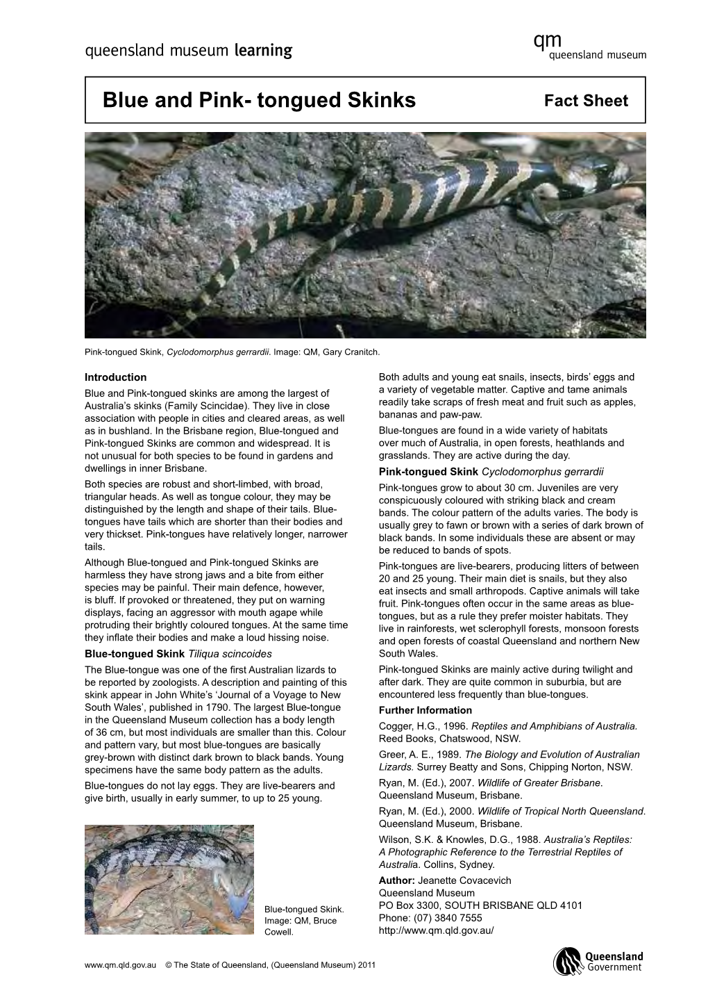 Blue and Pink- Tongued Skinks Fact Sheet