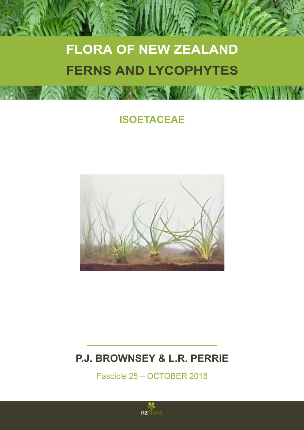 Flora of New Zealand Ferns and Lycophytes