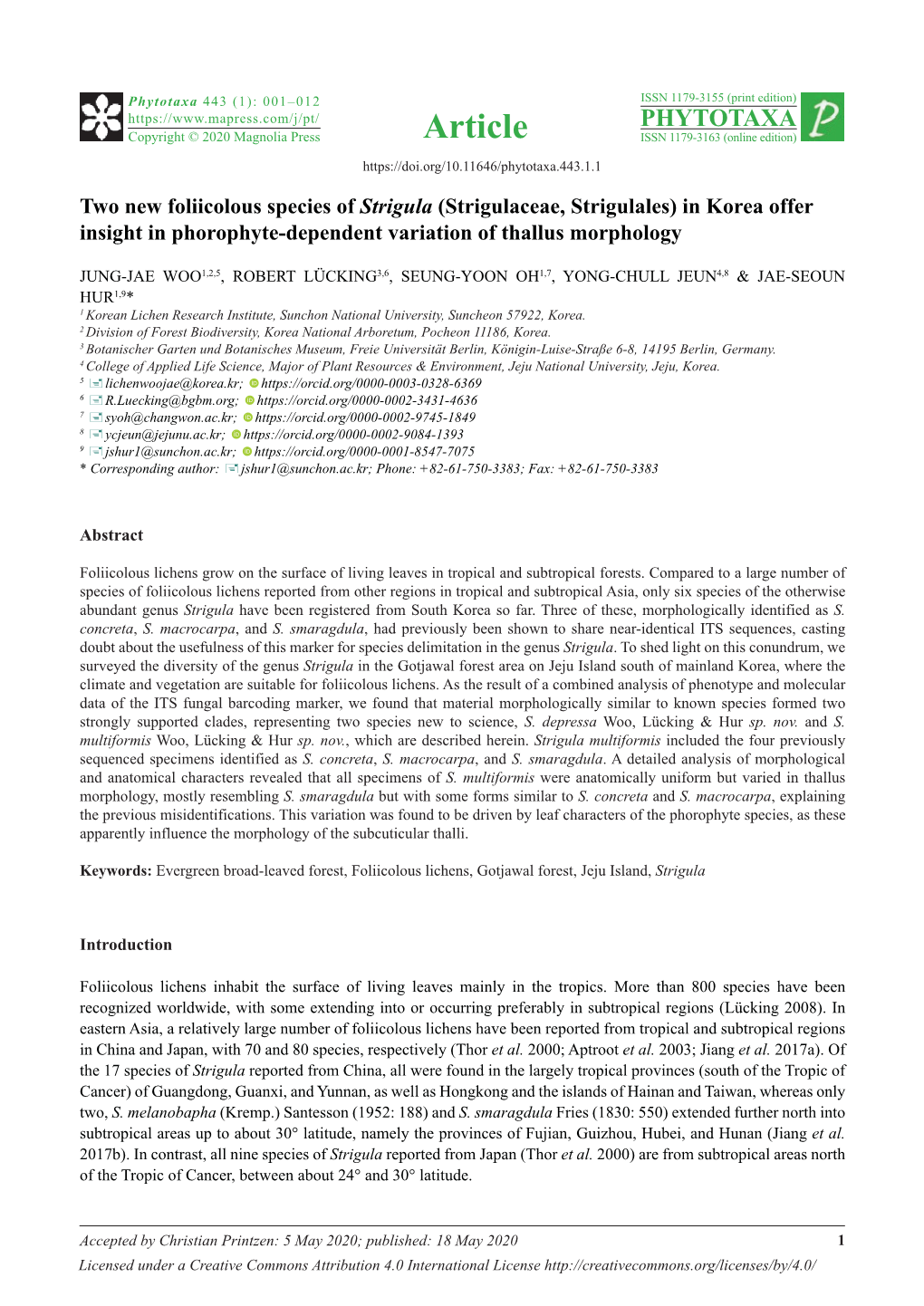 Two New Foliicolous Species of Strigula (Strigulaceae, Strigulales) in Korea Offer Insight in Phorophyte-Dependent Variation of Thallus Morphology