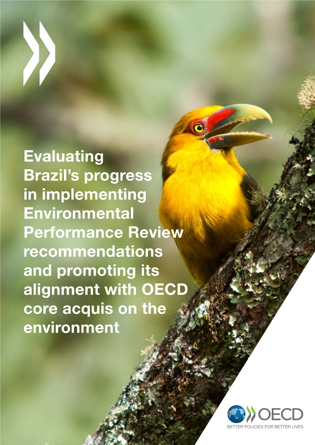 Evaluating Brazil's Progress in Implementing Environmental