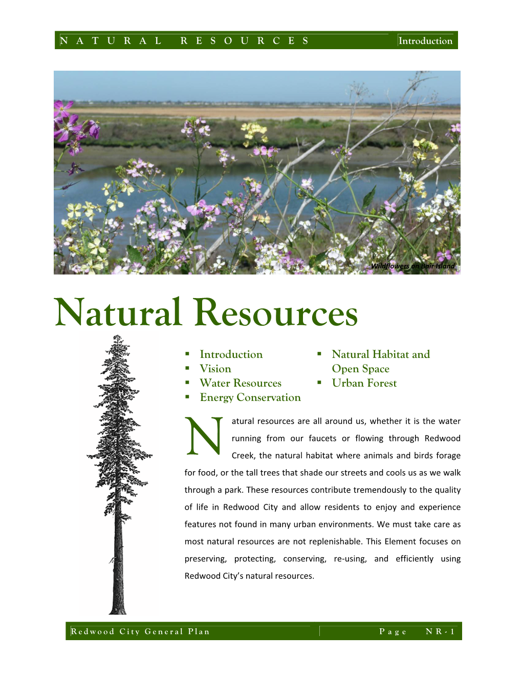 NATURAL RESOURCES Introduction