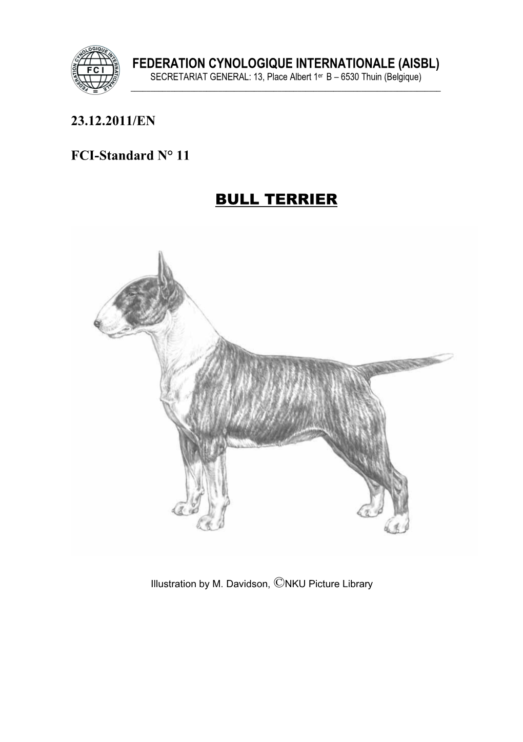 Bull Terrier