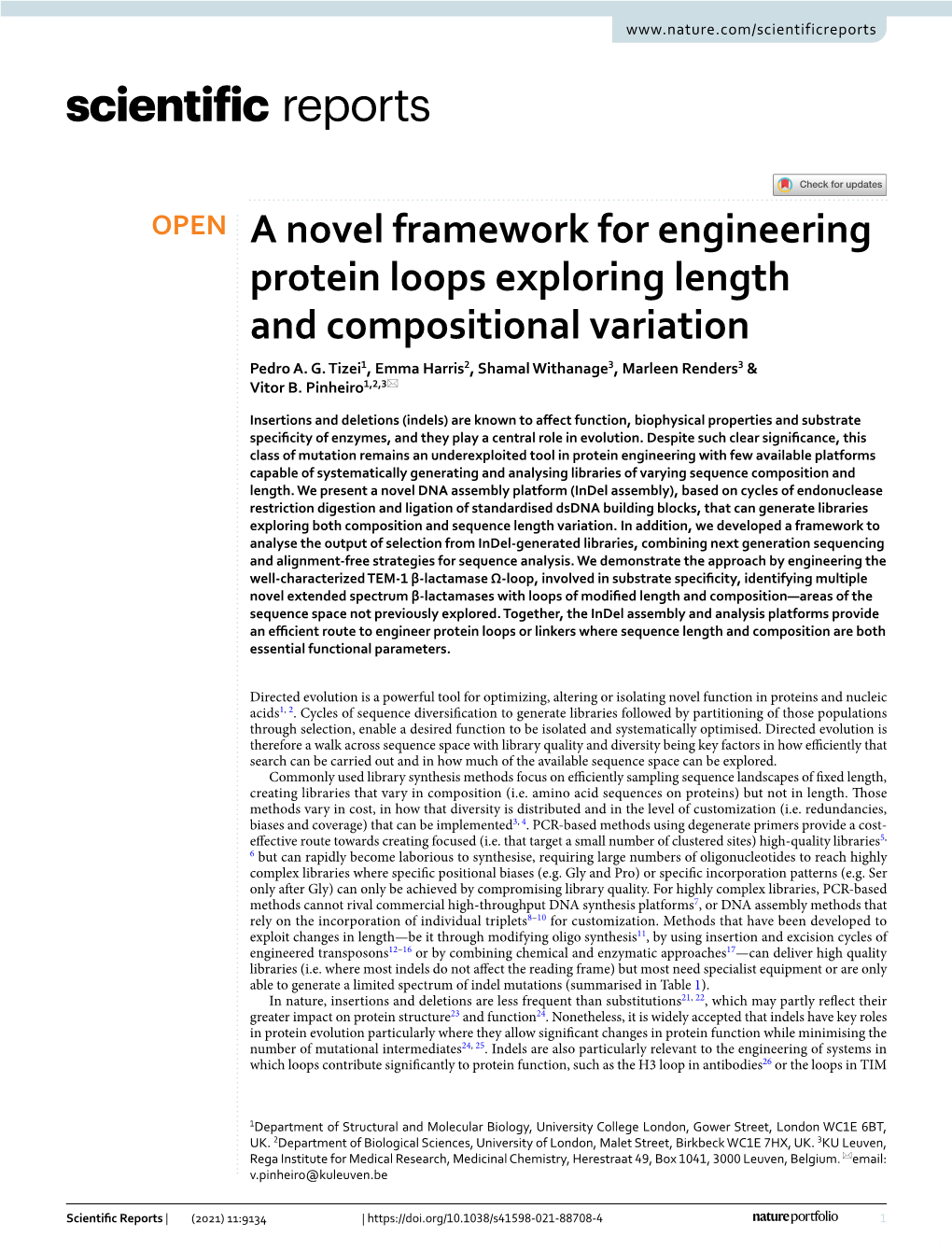 A Novel Framework for Engineering Protein Loops Exploring Length and Compositional Variation Pedro A