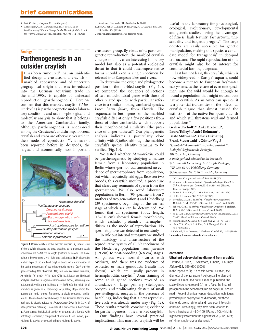 Parthenogenesis in an Outsider Crayfish