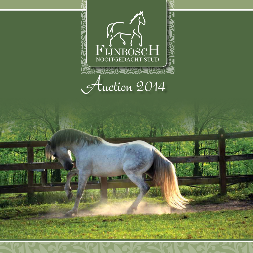 Auction 2014