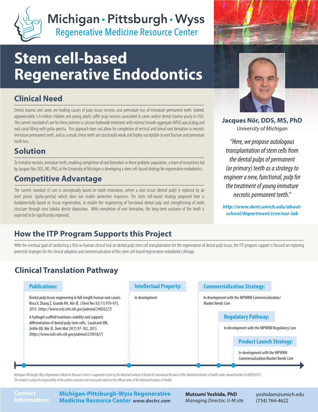 Stem Cell-Based Regenerative Endodontics