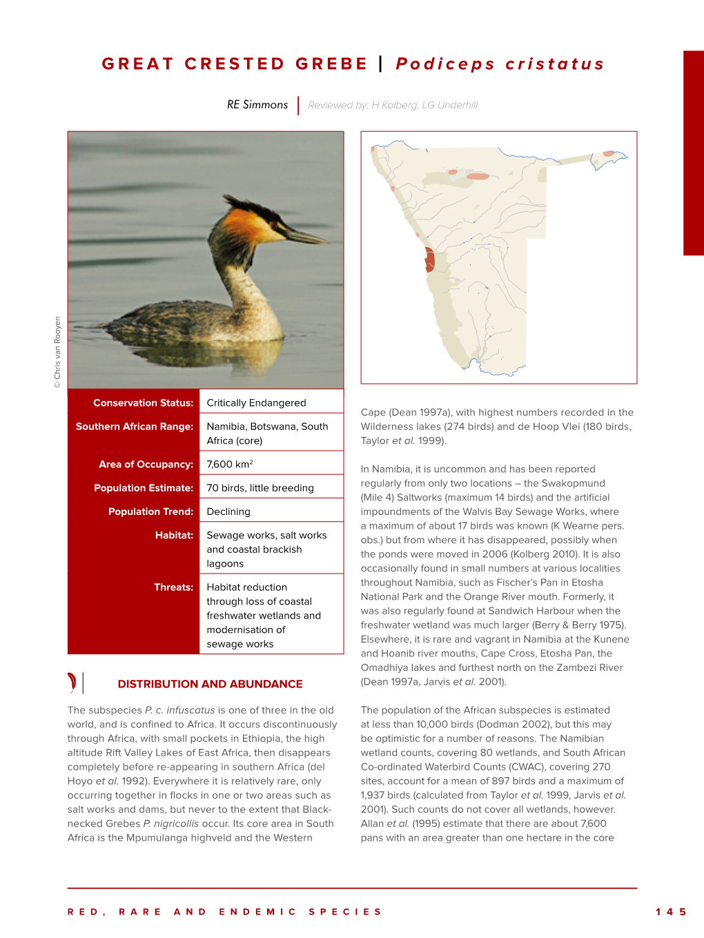 GREAT CRESTED GREBE | Podiceps Cristatus