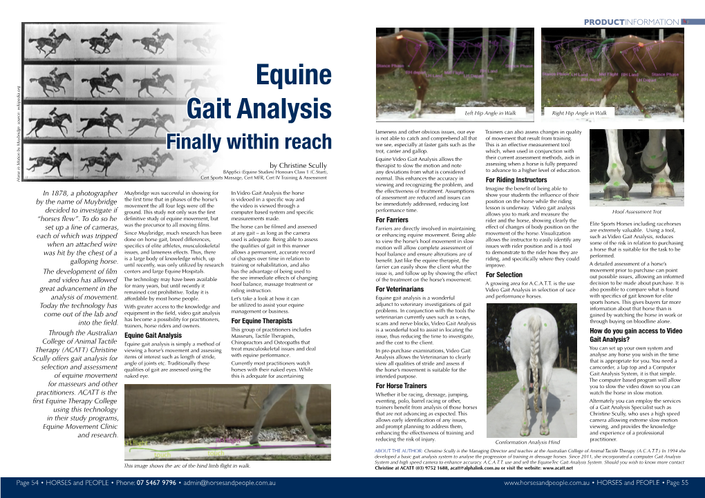 Equine Gait Analysis Is a Wonderful and Performance Horses