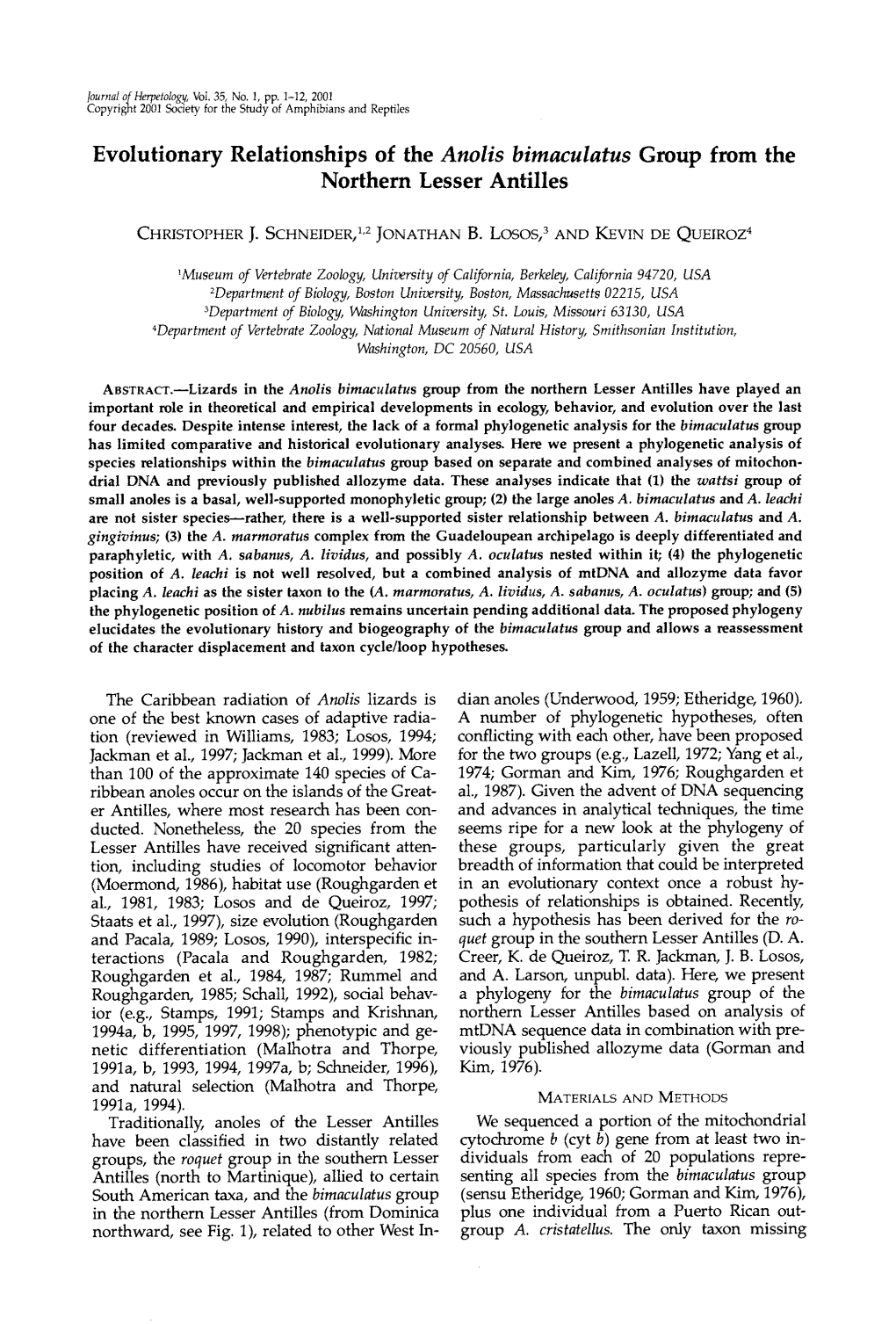 Evolutionary Relationships of the Anolis Bimaculatus Group from the Northern Lesser Antilles