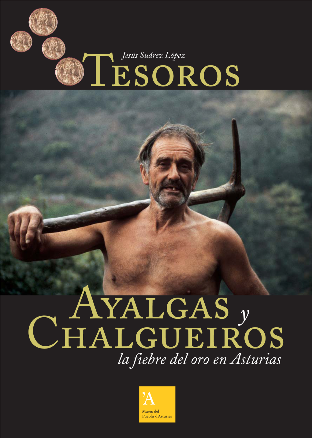 Tesoros, Ayalgas Y Chalgueiros. La Fiebre Del Oro En Asturias