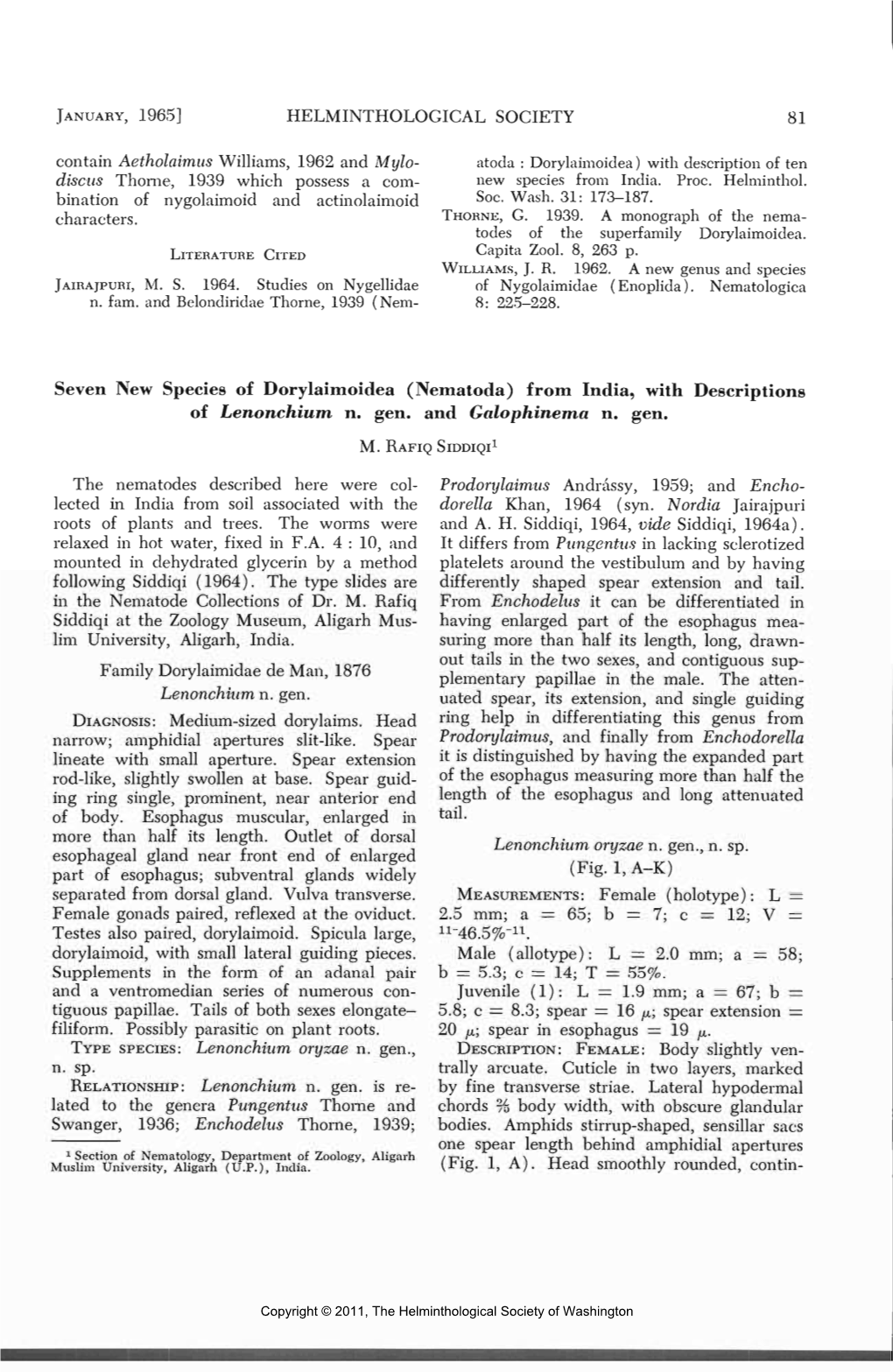 81 N. Sp. 2.5 Mm; a = 65; B