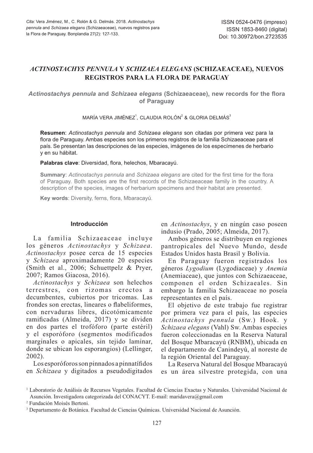 La Familia Schizaeaceae Incluye Los Géneros Actinostachys Y Schizaea