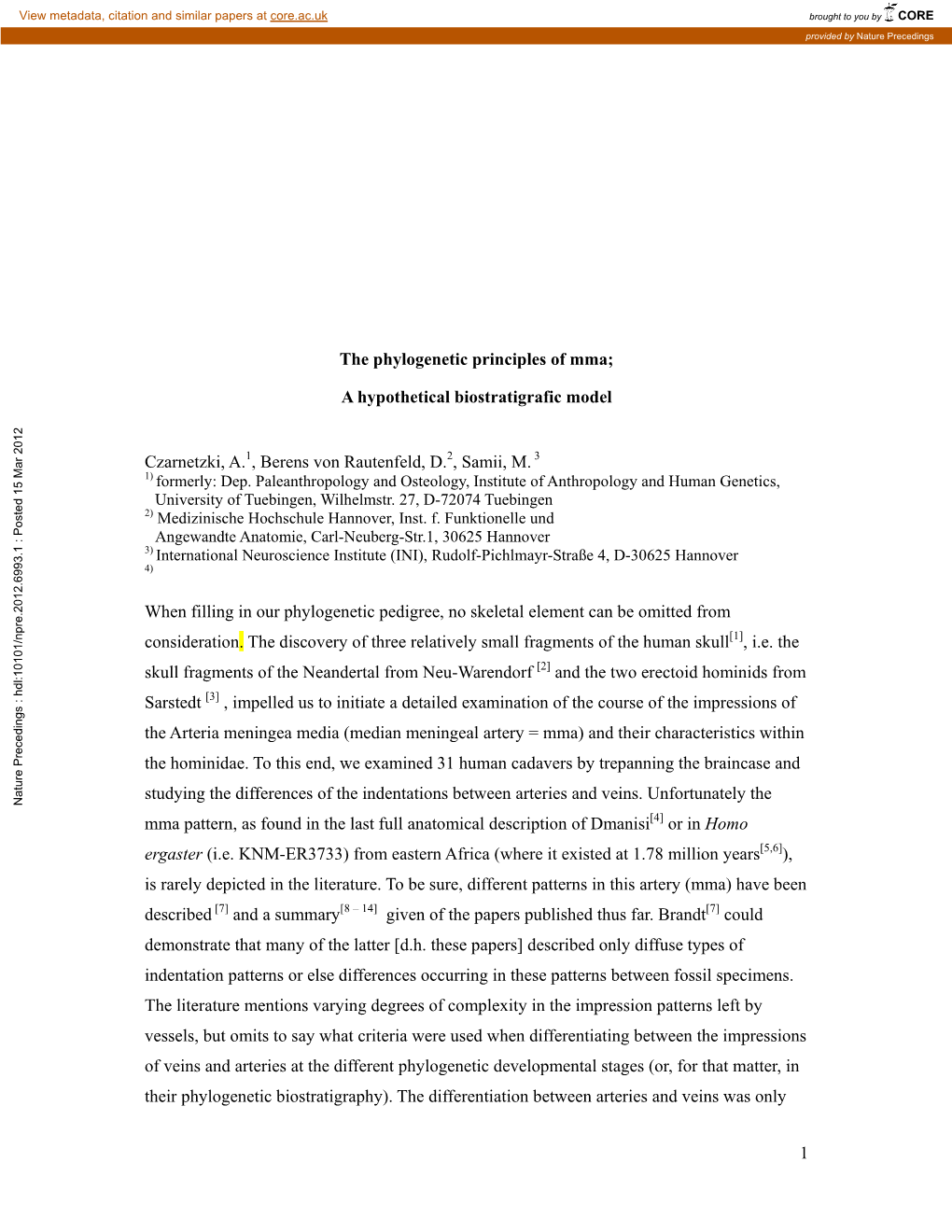 The Phyogenetic Principles of Mma;A Hypothetical Biostratigraphic Model