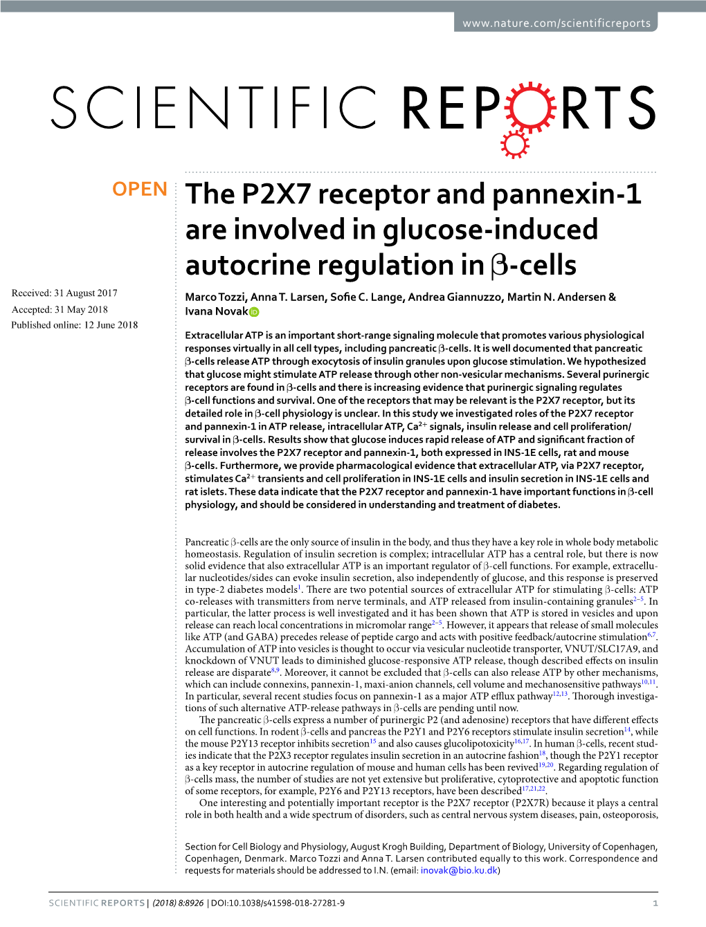 The P2X7 Receptor and Pannexin-1 Are Involved in Glucose-Induced Autocrine Regulation in Β-Cells Received: 31 August 2017 Marco Tozzi, Anna T