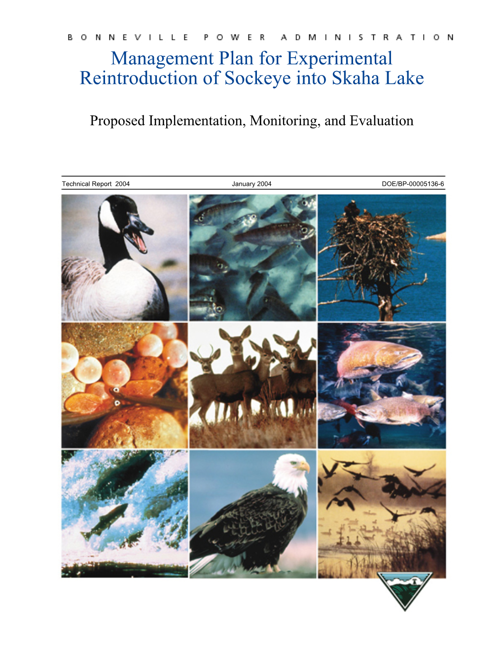 Management Plan for Experimental Reintroduction of Sockeye Into Skaha Lake