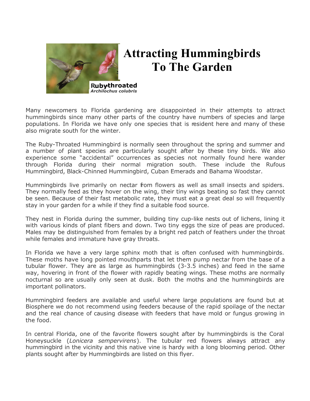 Attracting Hummingbirds to the Garden