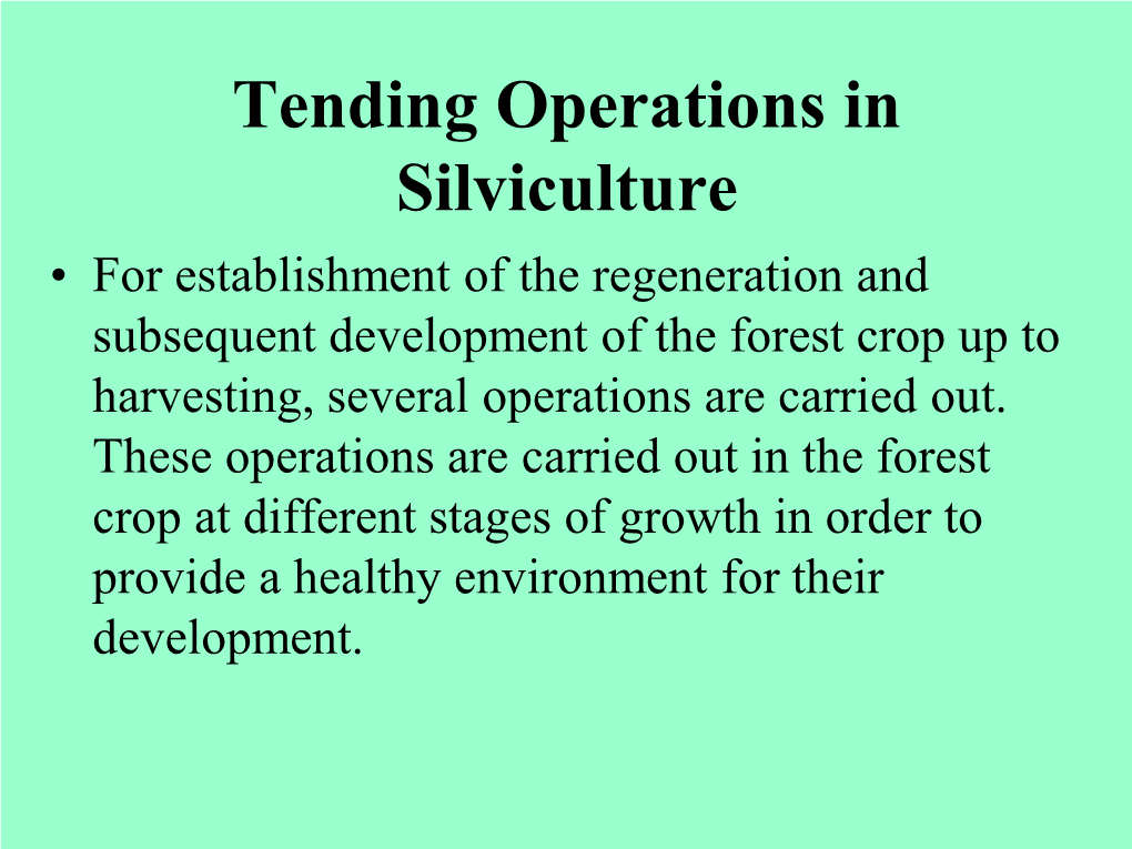 Tending Operations in Silviculture