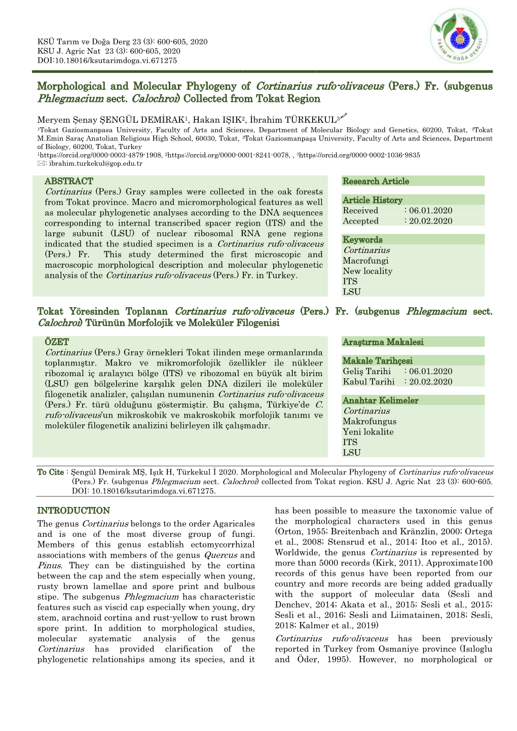 Morphological and Molecular Phylogeny of Cortinarius Rufo-Olivaceus (Pers.) Fr