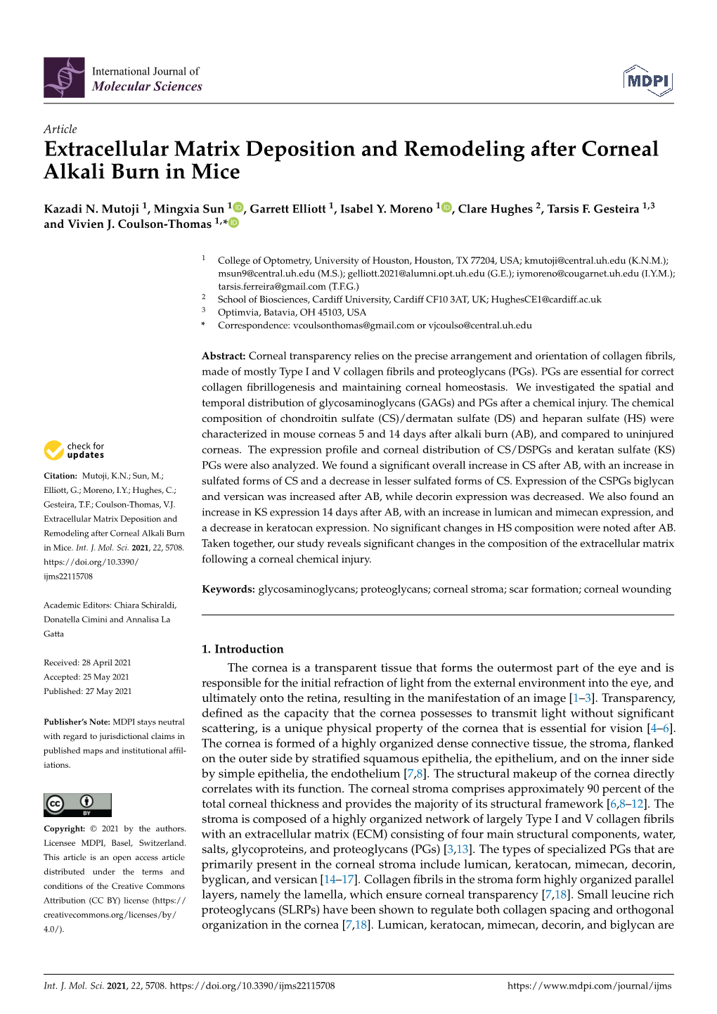 Extracellular Matrix Deposition and Remodeling After Corneal Alkali Burn in Mice