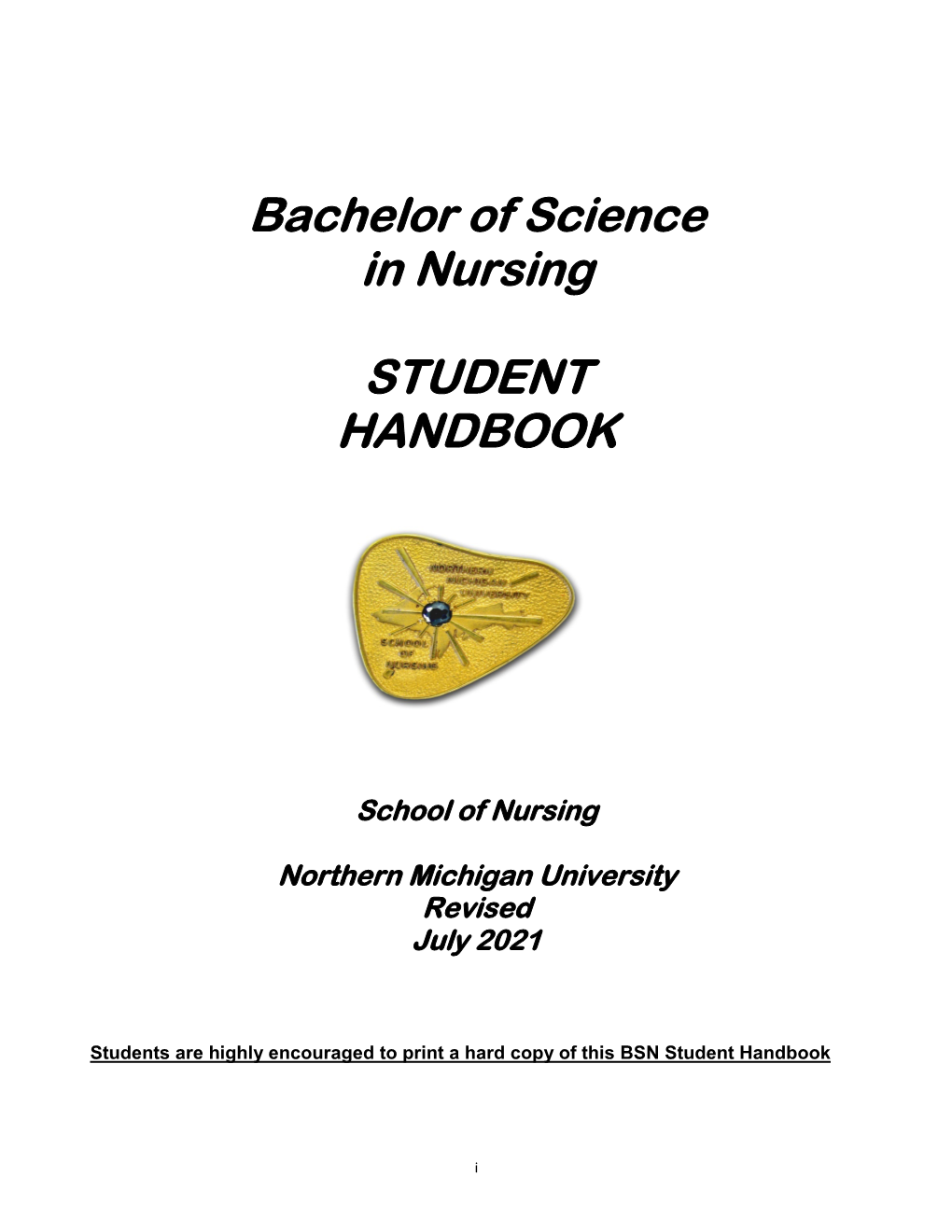 NMU Nursing Student Handbook