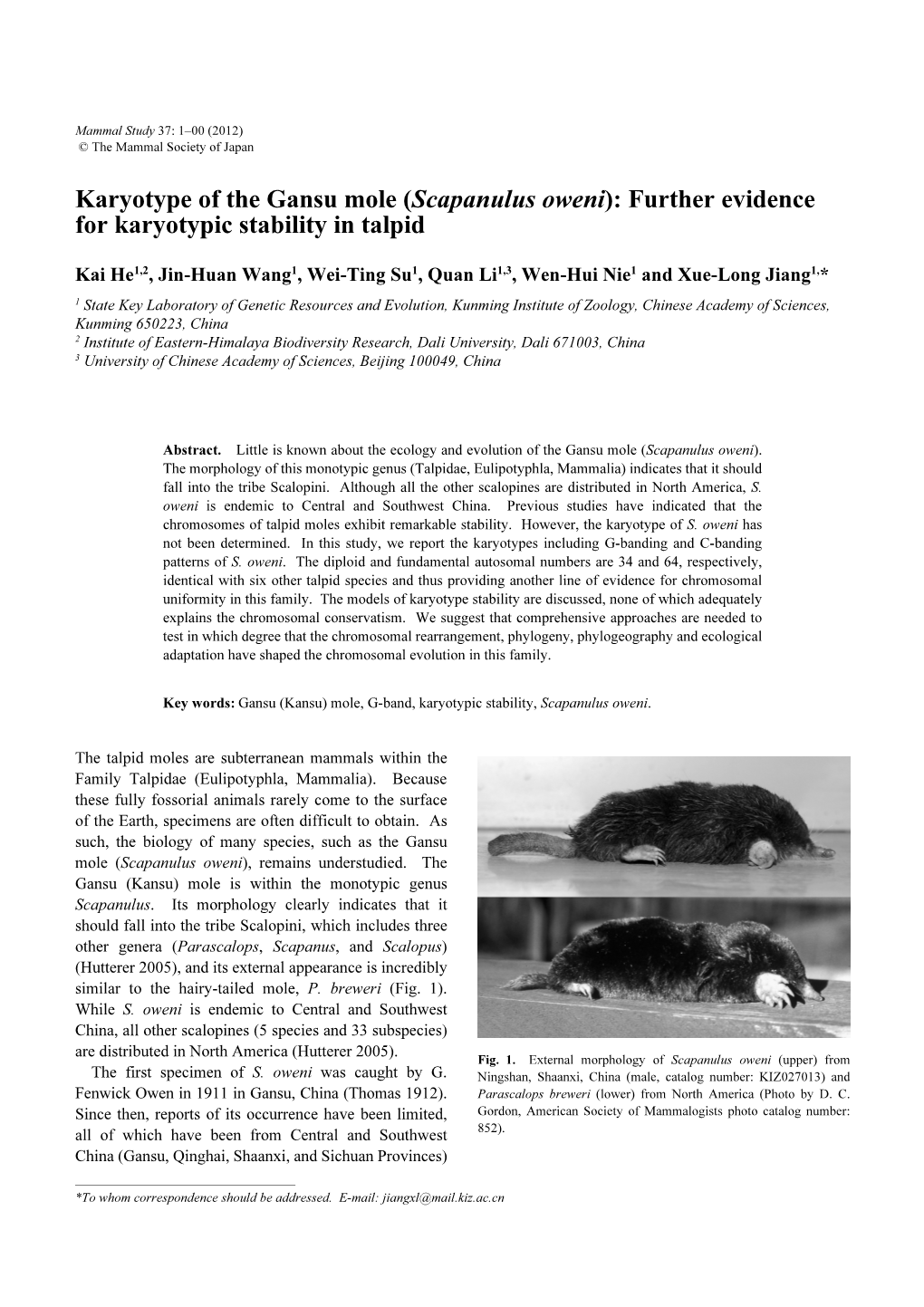 Scapanulus Oweni): Further Evidence for Karyotypic Stability in Talpid