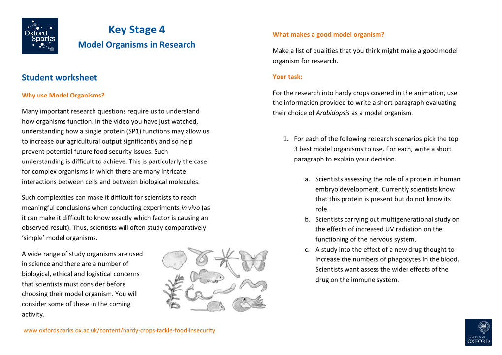 Key Stage 4 Model Organisms in Research Student Worksheet