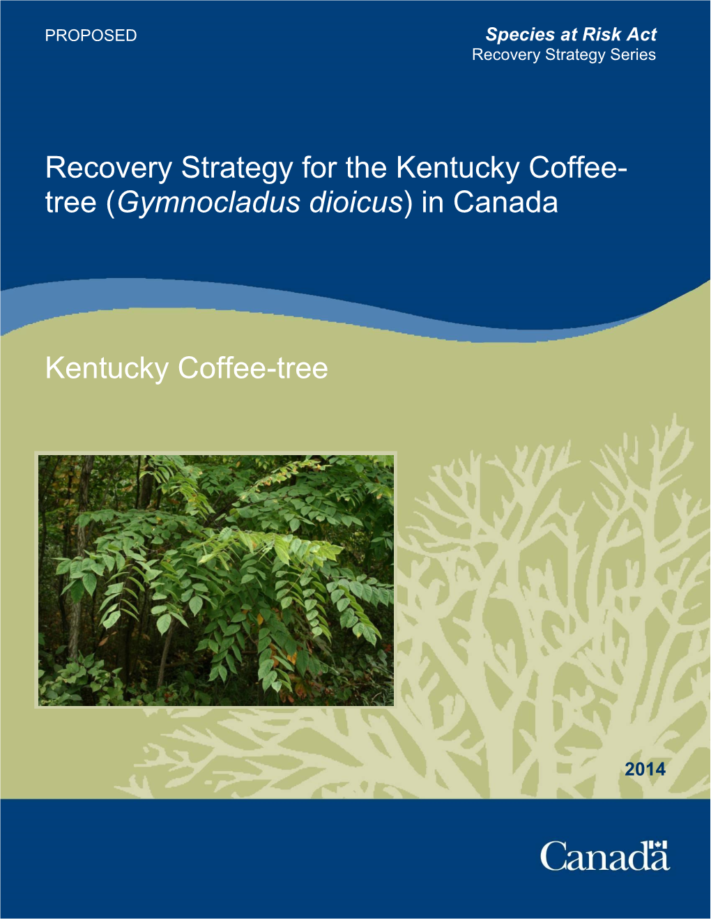 Kentucky Coffee-Tree (Gymnocladus Dioicus) in Canada [Proposed]