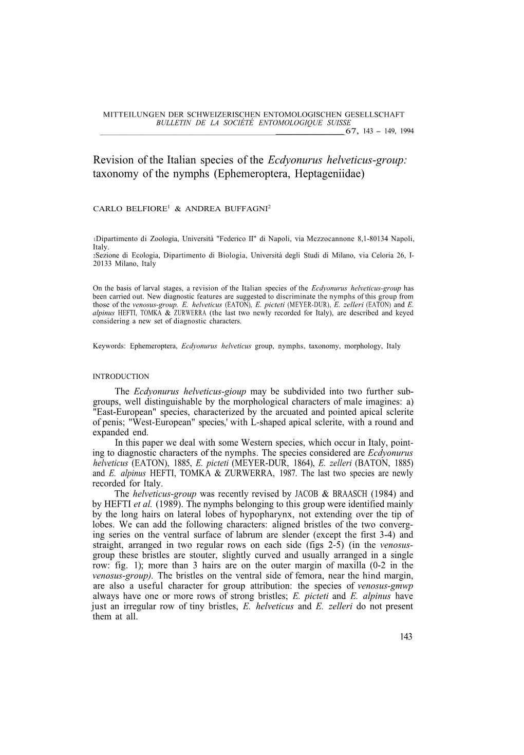 Revision of the Italian Species of the Ecdyonurus Helveticus-Group: Taxonomy of the Nymphs (Ephemeroptera, Heptageniidae)