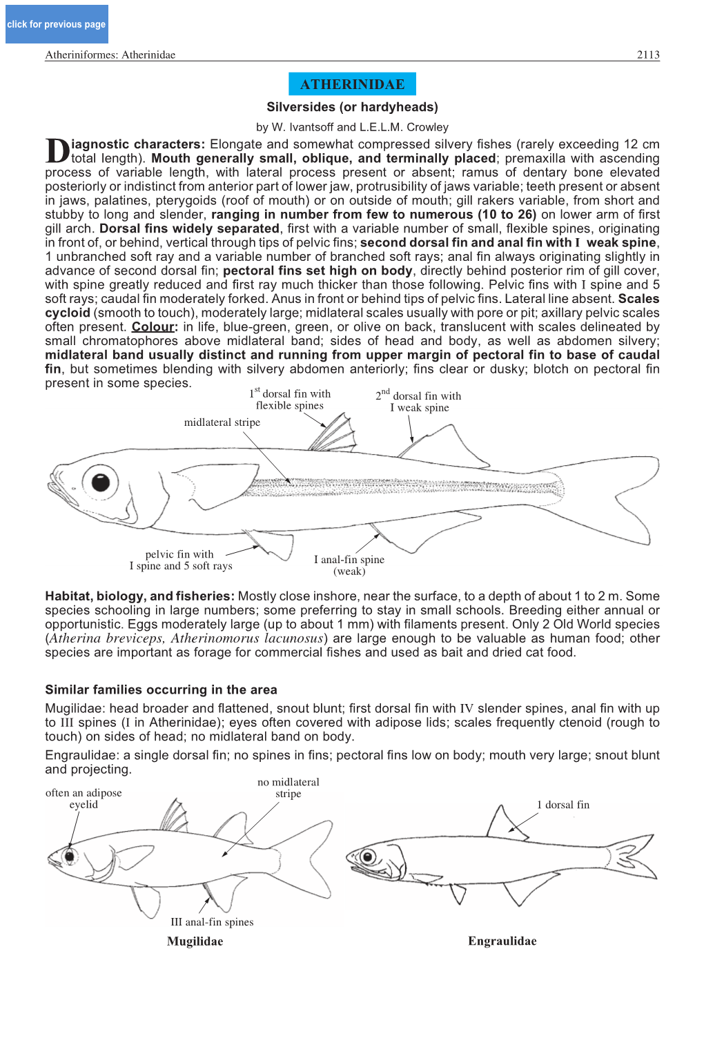 Atherinidae 2113