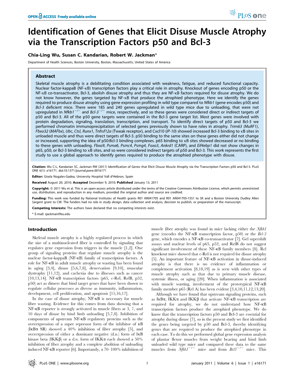 Identification of Genes That Elicit Disuse Muscle Atrophy Via the Transcription Factors P50 and Bcl-3