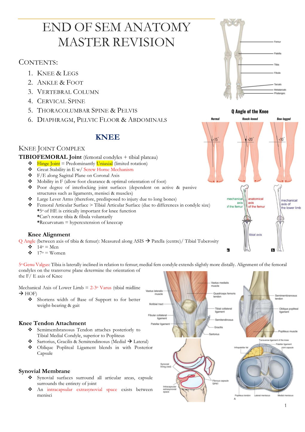 End of Sem Anatomy Master Revision