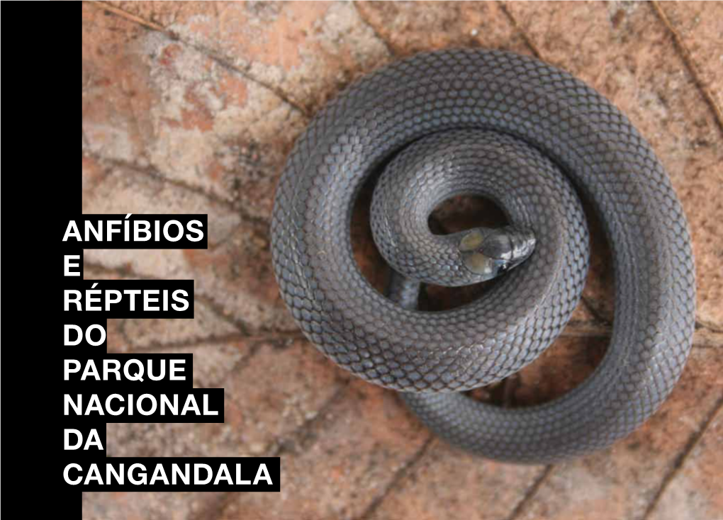 Anfíbios E Répteis Do Parque Nacional Da Cangandala