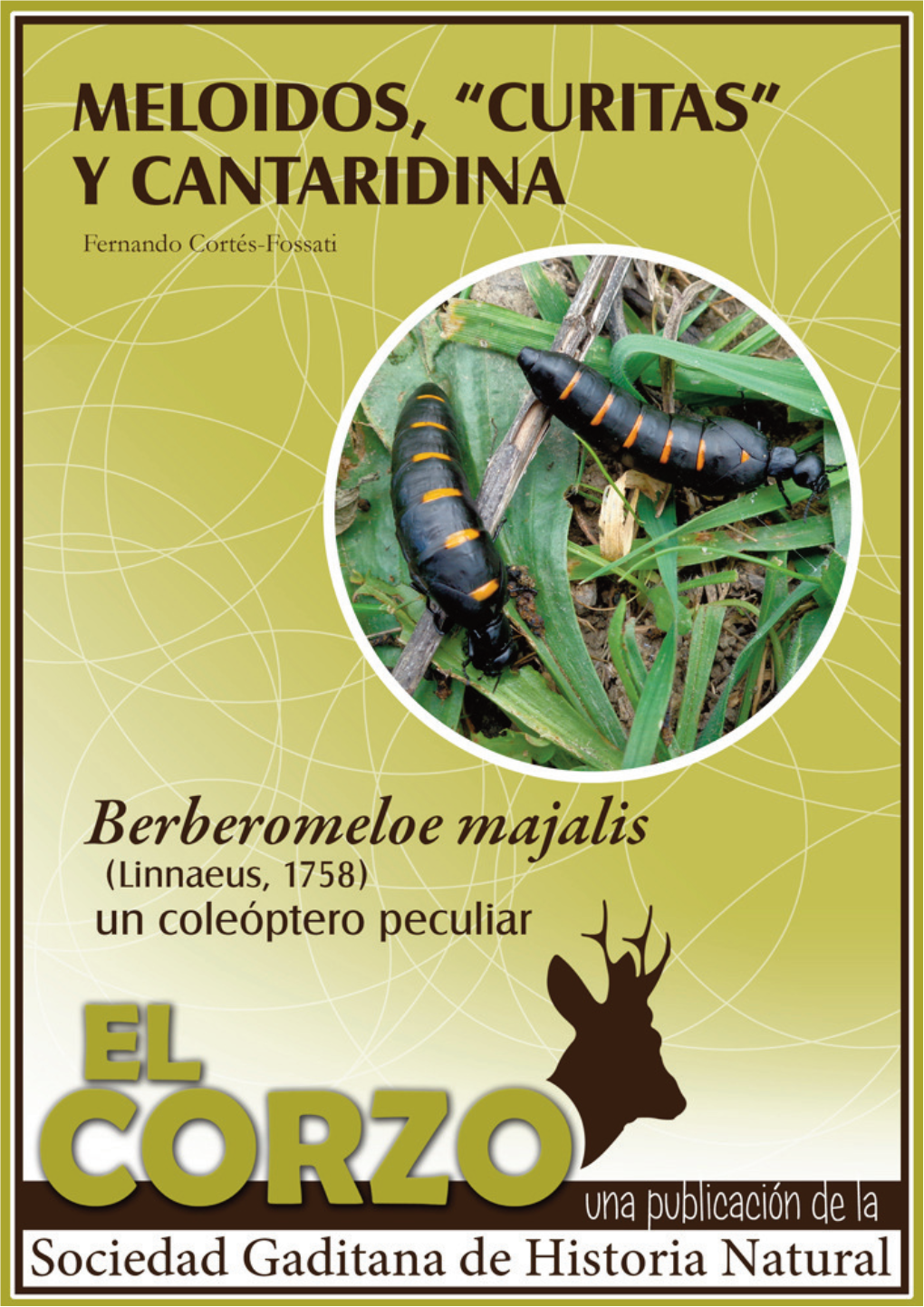 Meloidos, “Curitas” Y Cantaridina: Apuntes Sobre Berberomeloe Majalis (Linnaeus, 1758), Un Coleóptero Peculiar
